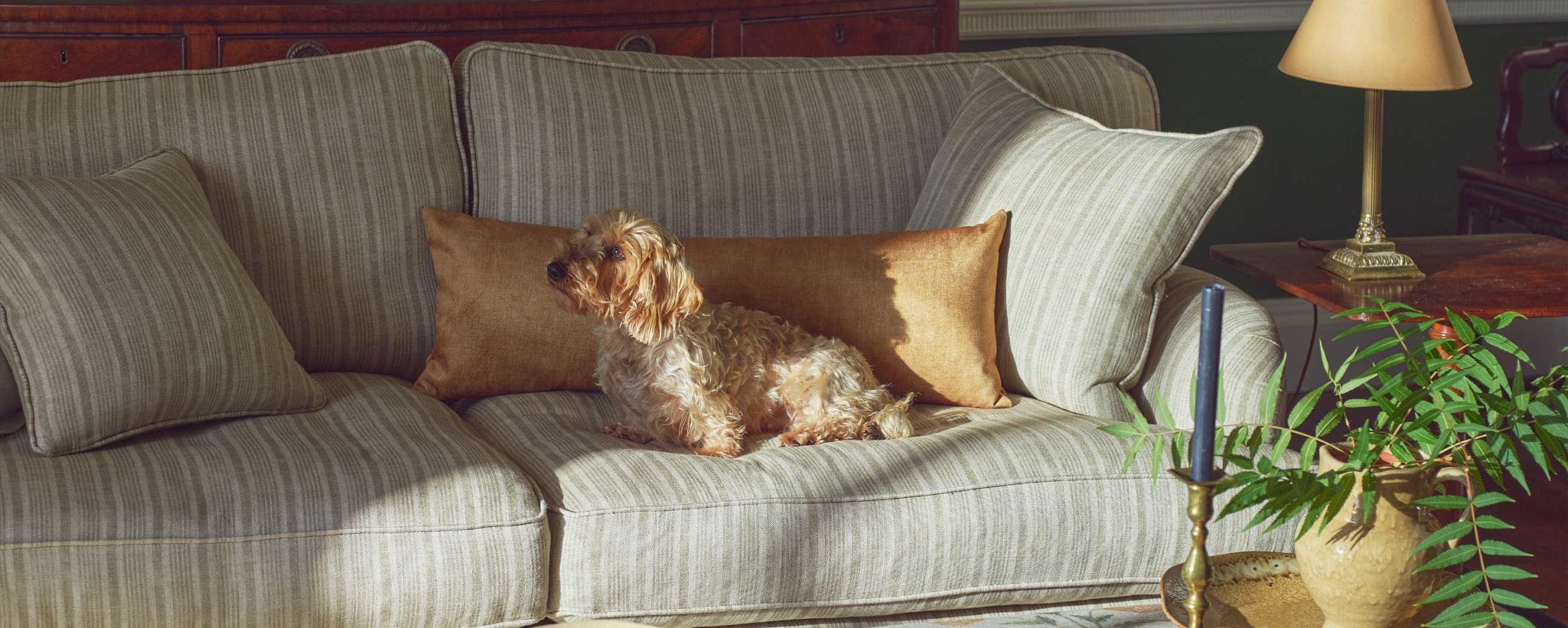 Sofas & Stuff Islington showroom competition