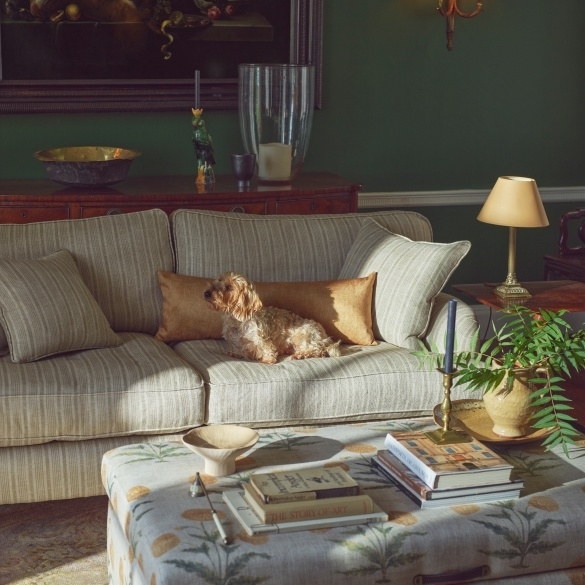 Sofas & Stuff Islington showroom competition