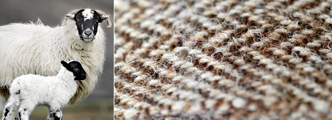 Harris Tweed Sofas Furniture Harris Tweed Sofas Furniture