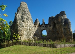 Ruins of Odiham Castle North Warmborough