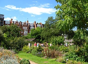 chelsea physic garden