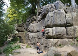 harrisons rock